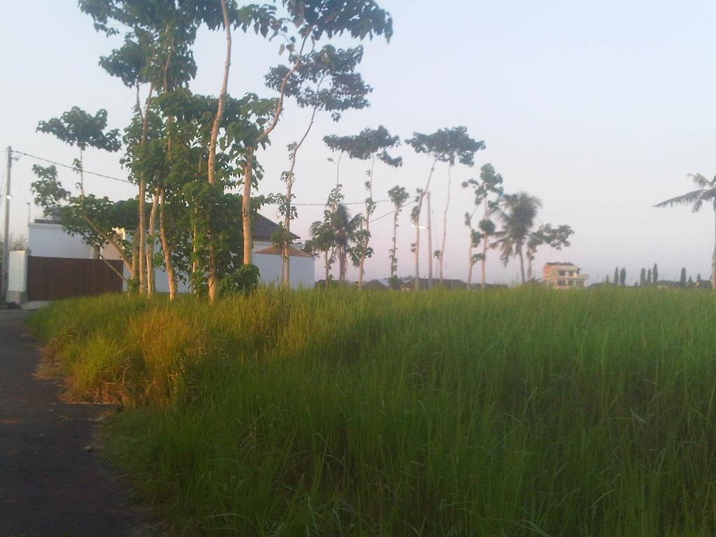 Villa Anandani Ubud  Luaran gambar